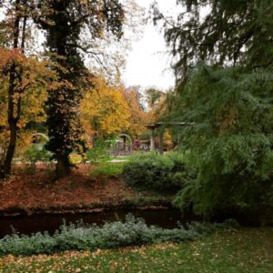 Herbstbild Bürgerpark Pankow